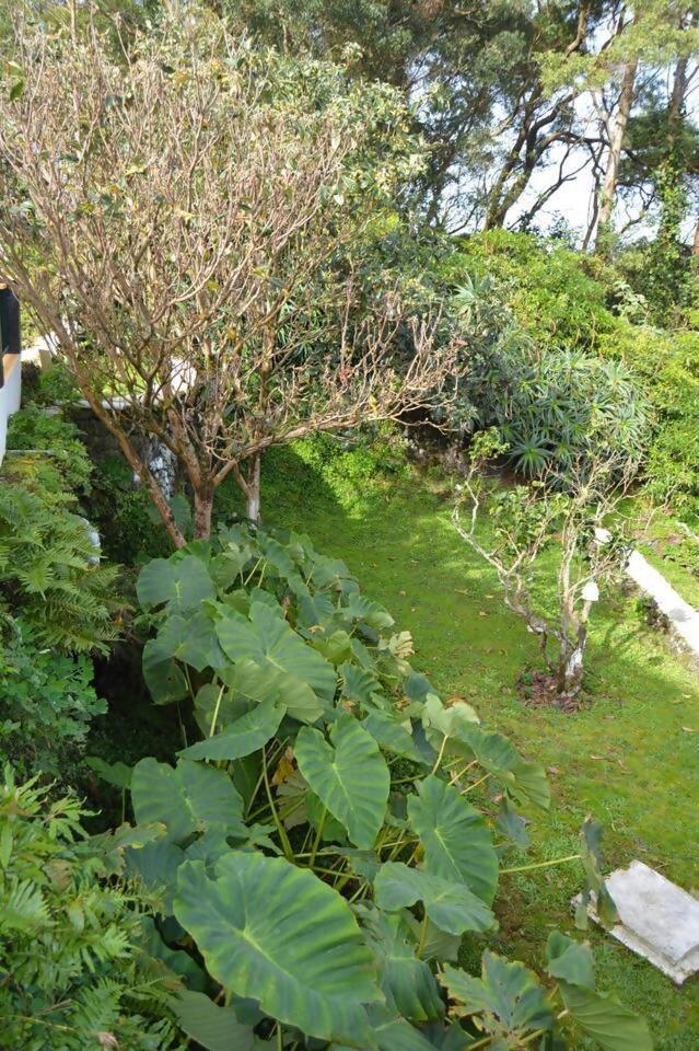 The Emigrant House By Pontanegraazores Biscoitos  ภายนอก รูปภาพ